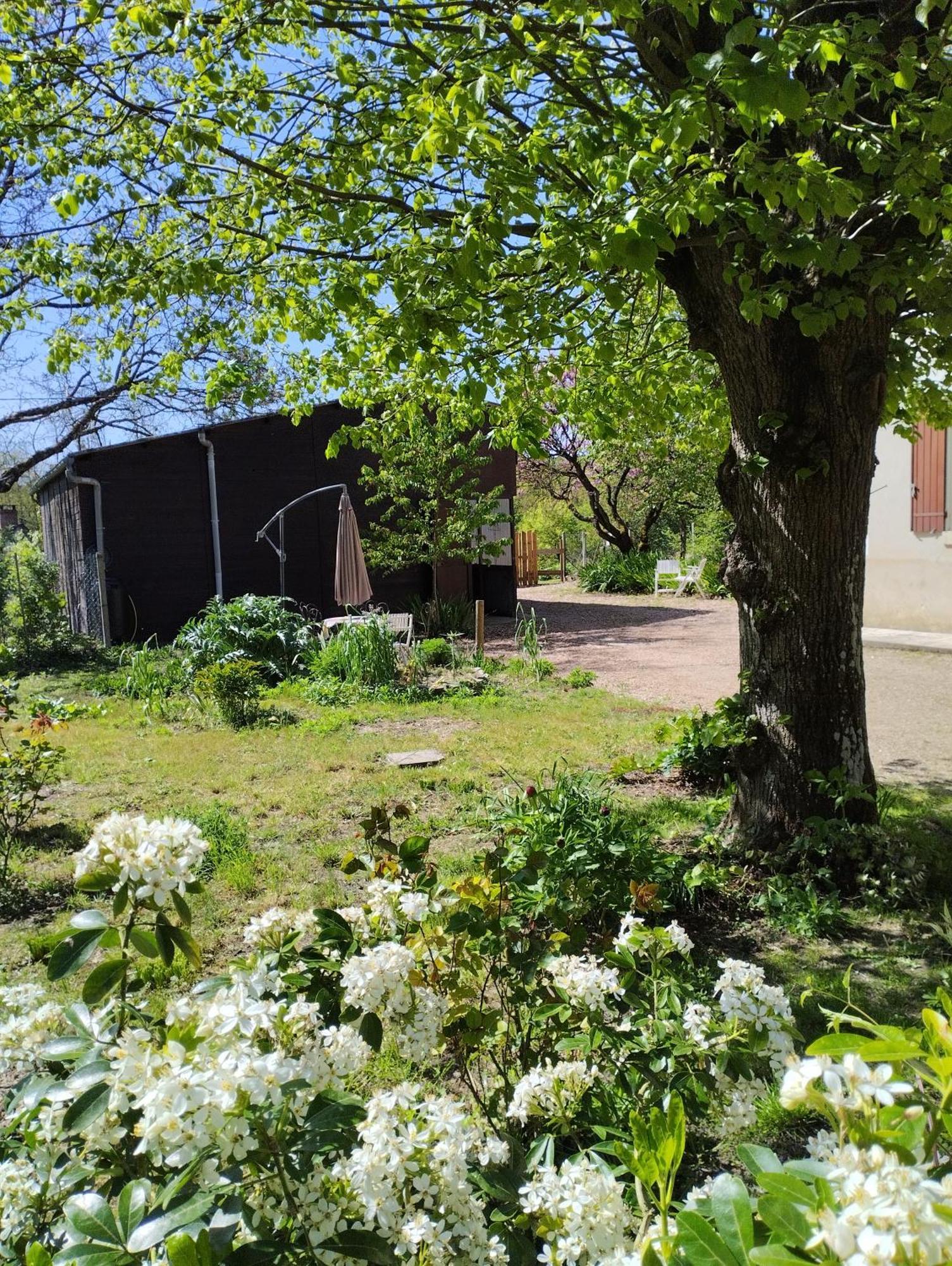 La Jolie Ruche Villa Saint-Georges-sur-Cher Eksteriør bilde